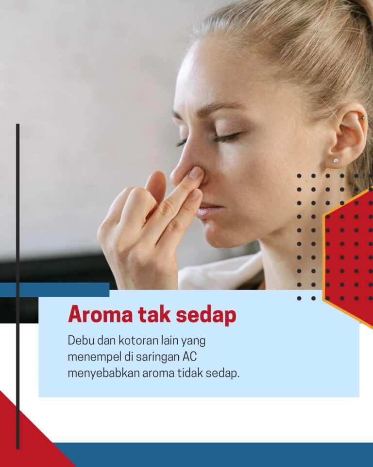 32e58bb7-0b8e-4ffe-91b6-bbb795a68241